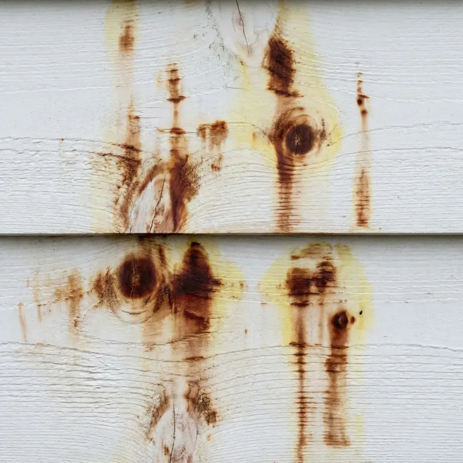 Tannin bleed staining through paint on cedar siding