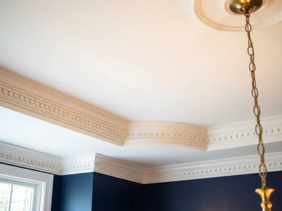 Freshly painted ceiling with detailed crown molding showing precision paint lines